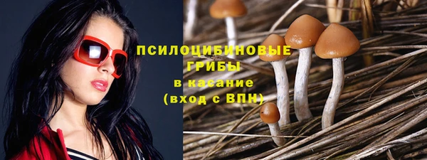 а пвп мука Армянск