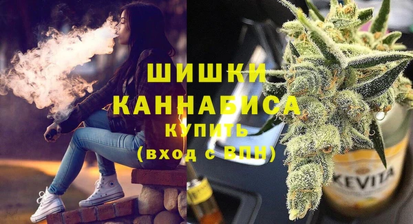 шишки Аркадак
